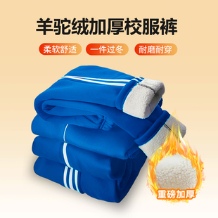 儿童运动裤校服款男童女童宝蓝加厚一线两三条杠款粗杠学生裤加绒