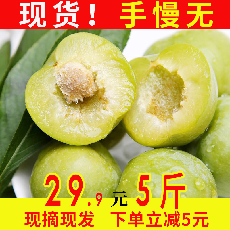 四川李子新鮮現貨脫骨李5斤包郵當季水果孕婦青脆李整箱土李子10