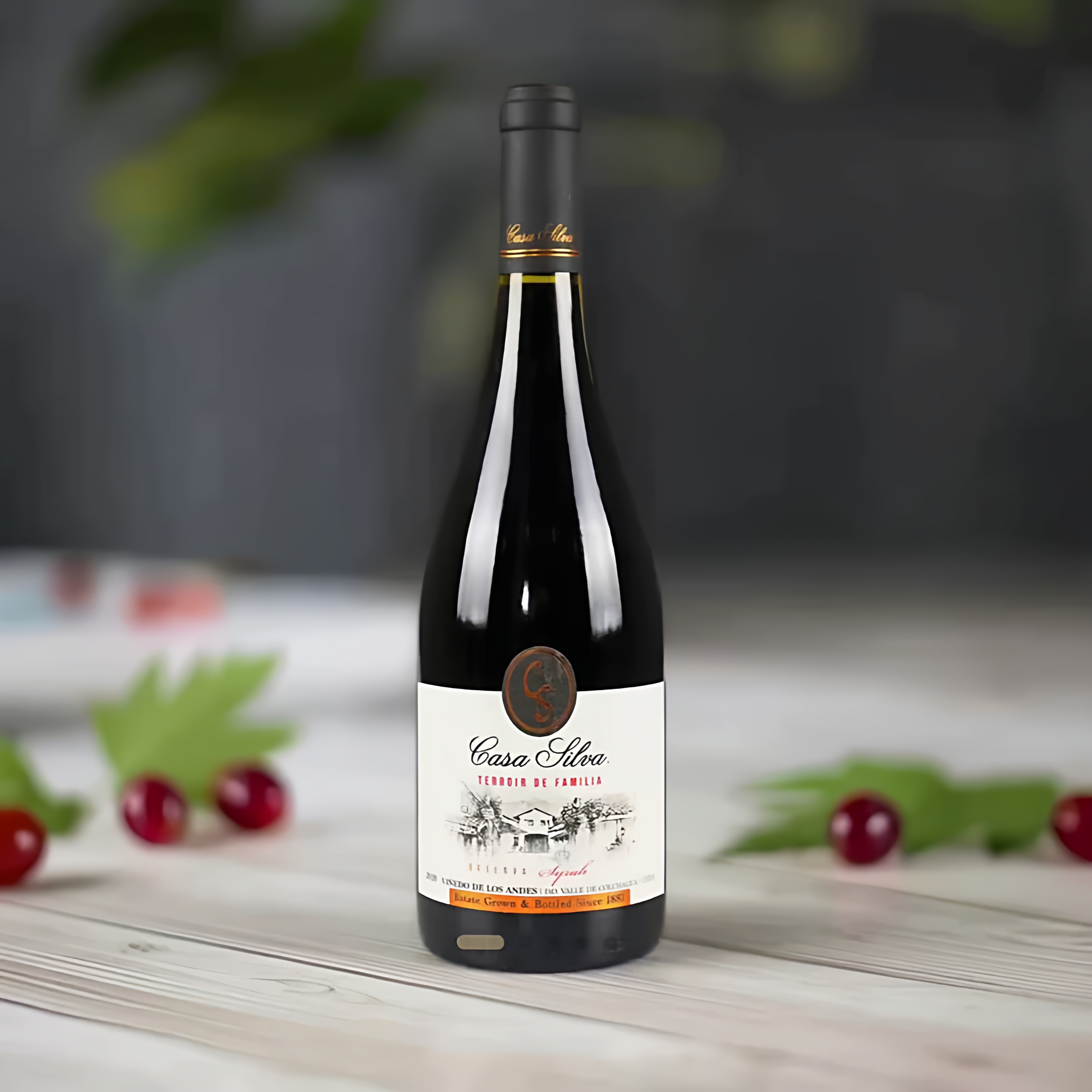 智利原瓶进口Casa Silva 玺瓦庄园家族之风珍藏西拉红葡萄酒750ml