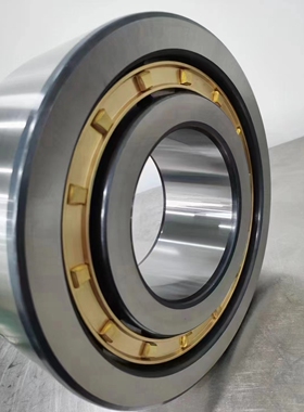 TMB圆柱滚子轴承 RN203M N203M NJ203EM NU203EM LYC