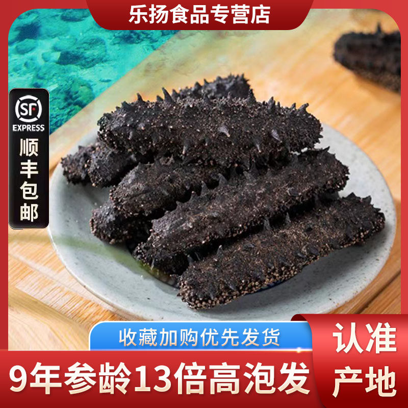 乐扬先活大连辽参淡干海参刺参500g干货孕妇无激素海参海生