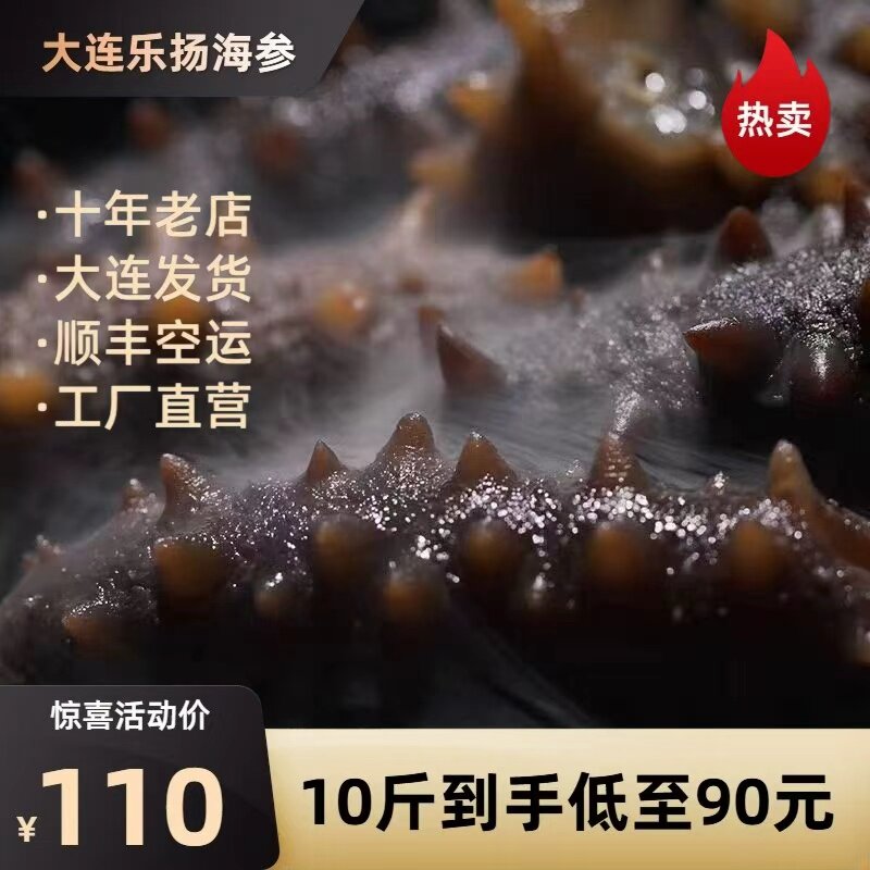 乐扬先活大连即食海参500g鲜活辽参刺参非干货礼盒新鲜海生单个装