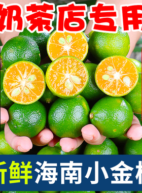 海南小金桔青桔新鲜青柠檬青柑皮薄应季当季水果柠檬新鲜5斤金橘