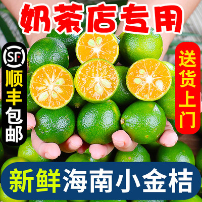 【奶茶店专用】海南小金桔