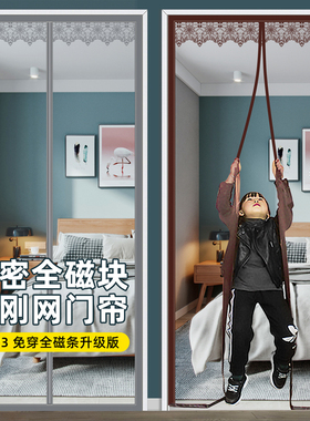 夏季家用防蚊门帘磁性磁吸条强力纱门纱窗隔断2025新款高档防蚊虫