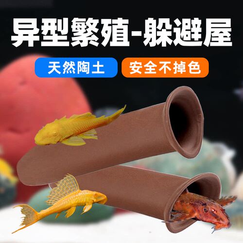 黄金大帆胡子鱼繁殖罐加长躲避屋