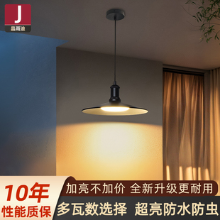 户外吊灯防水雨棚门头庭院屋檐露台亭子阳光房室外走廊凉亭照明灯