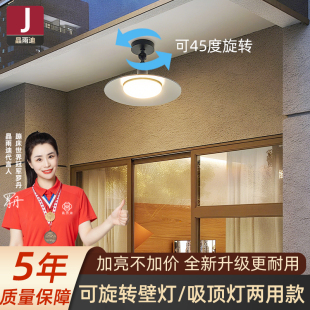 室外房檐灯户外屋檐吸顶灯室外壁灯庭院灯阳光房专用灯阳台照明灯