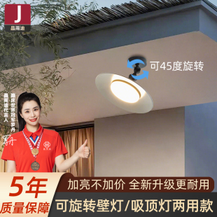 家门口照明灯户外壁灯防水庭院室外屋檐灯阳光房专用灯阳台吸顶灯