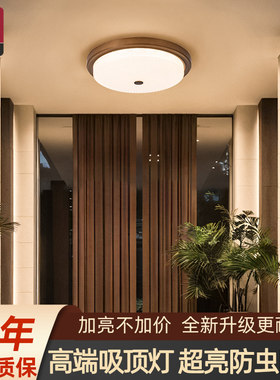 爆款-别墅大门吸顶灯-超亮防虫