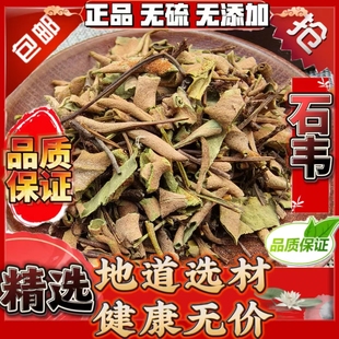 中药材 石韦 小叶石韦 石韦草 石背柳 石兰 散装