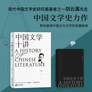 《中国文学十讲》现代中国文学史研究奠基者之一胡云翼文学史力作 文学史  文学研究  文学科普读物