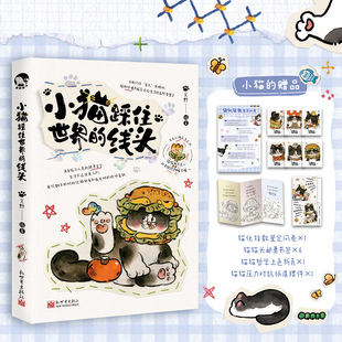 猫猫我只关心此刻 太阳暖不暖 畅销 小猫踩住世界 文学 萌宠 线头 治愈 不关心明天怎么办