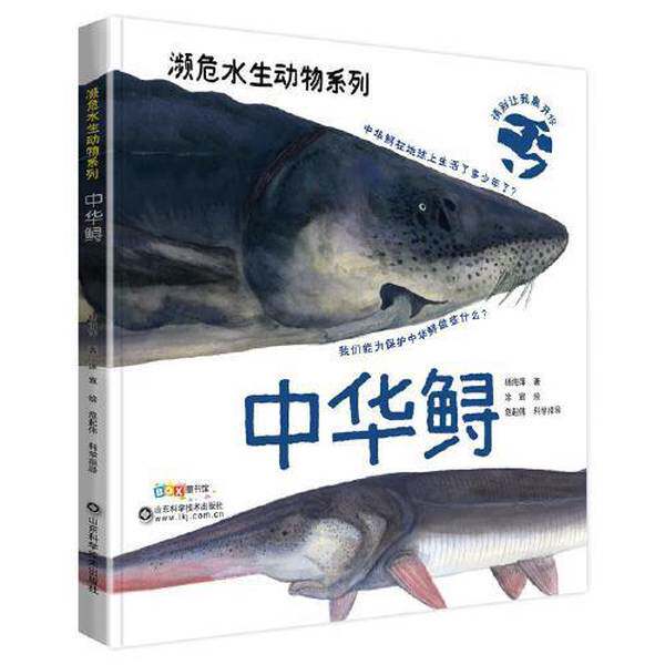 【雅】濒危水生动物系列——中华鲟9787572316203