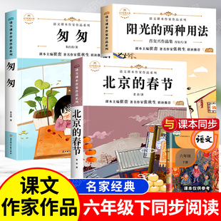 小学六年级必读 老舍著六年级下册语文课本作家作品系列 课外书课外阅读书籍 适合六年级学生看 北京 课外书经典 春节