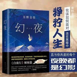 世界亮如白昼 典藏 白夜行姊妹篇 他们 东野圭吾杰作 却只是令人不寒而栗 正版 日本侦探悬疑推理小说外国小说精装 幻夜