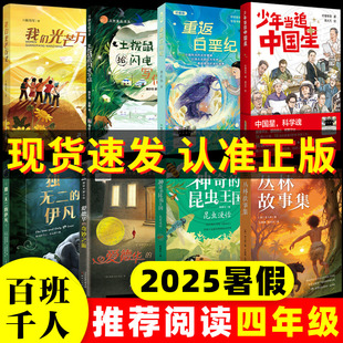2025暑假百班千人推 荐4四年级小学生课外阅读书我们光芒万丈土拨鼠给闪电写信重返白垩纪少年追中国星伊凡爱德华昆虫王国丛林故事