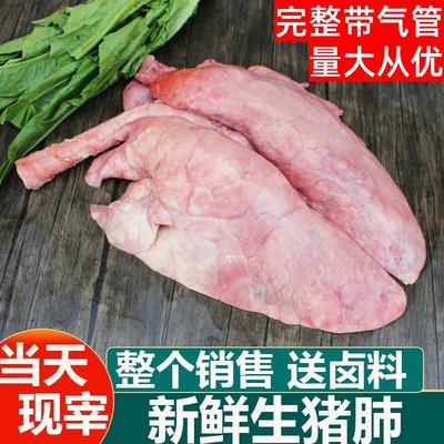 新鲜猪肺农家散养猪肺子猪下水内脏商用批发冷冻包邮