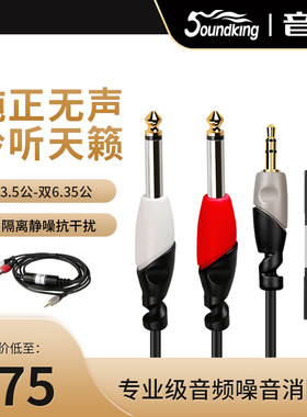 音王音频噪音消除器电流声杂音去噪降噪隔离器3.5转双6.35音频线