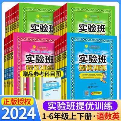 2024新版实验班提优训练小学任选