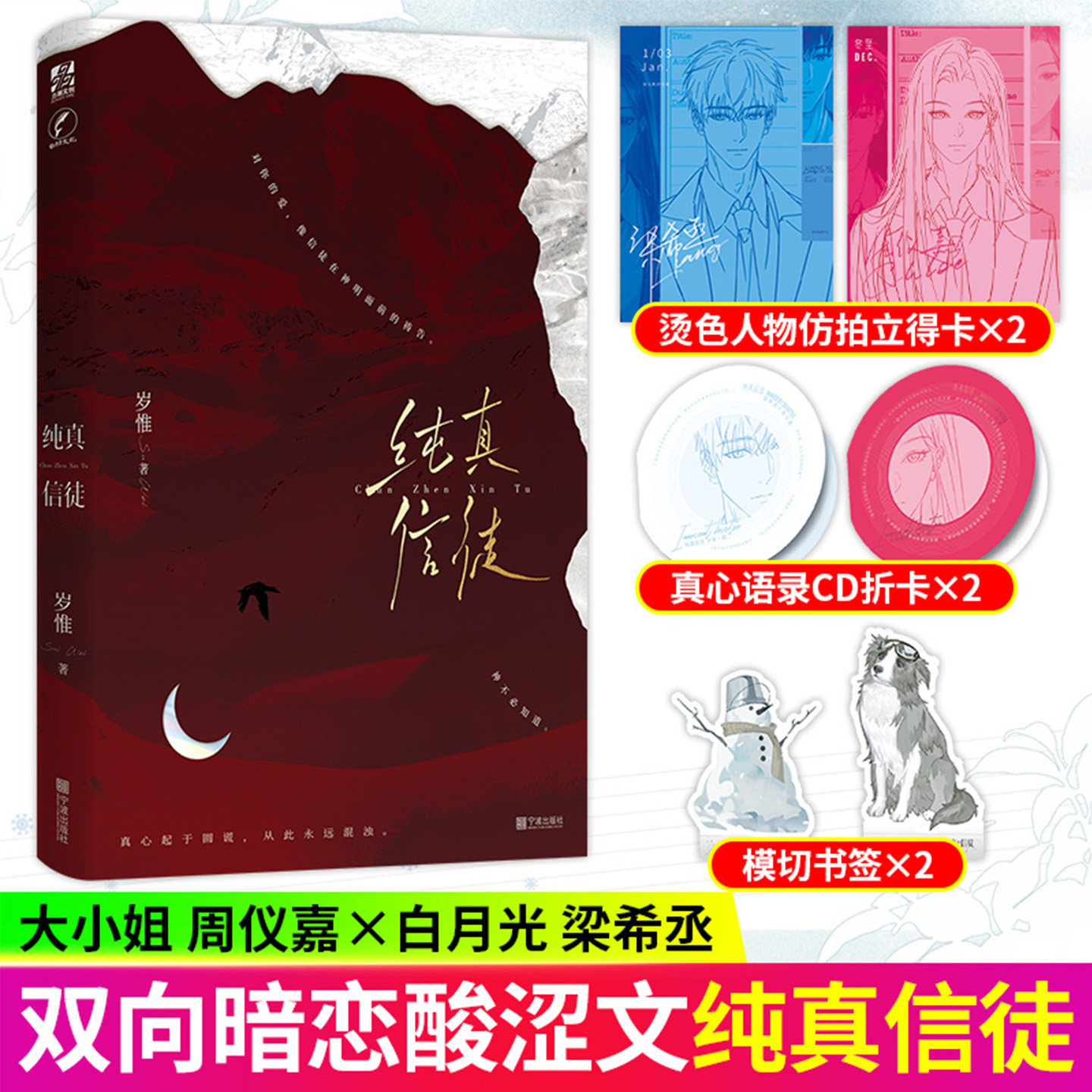 印特签 纯真信徒 岁惟著 青春暗恋破镜重圆都市言情小说实体书钟仪襄梁希丞细腻校园到都市爱恋晋江人气作品青春文学读物