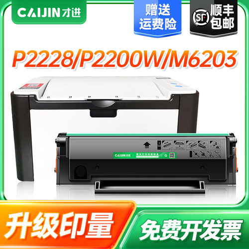 Pantum P2505