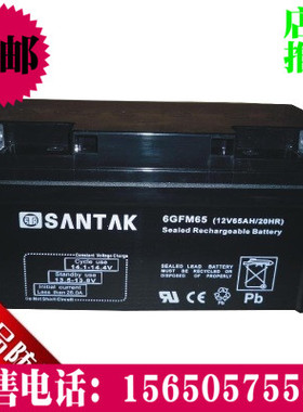 SGNTAR蓄电池 12V65AH UPS电源专用