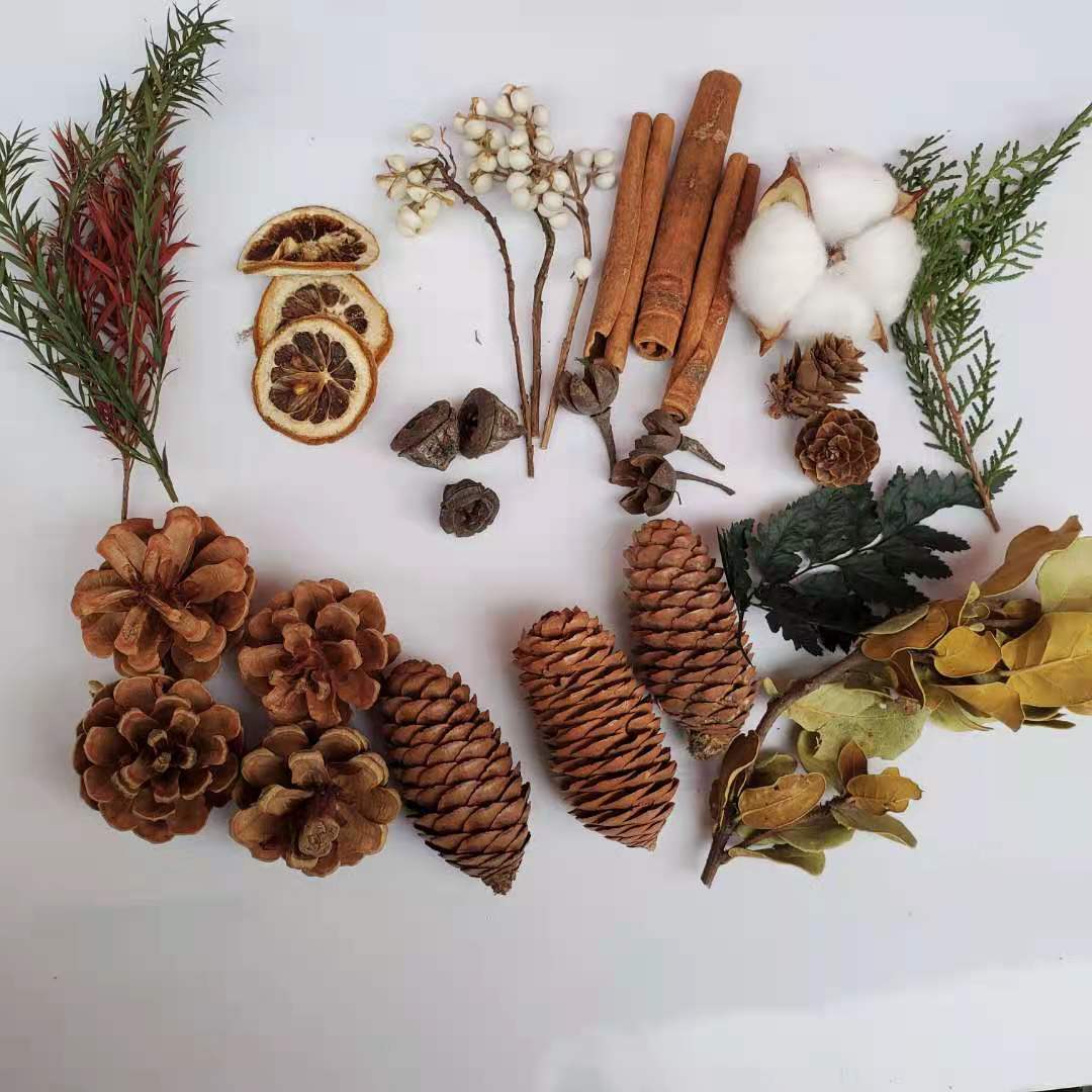 松果木片树叶干花干果组合套装圣诞幼儿园装饰小摆件复古拍照道具