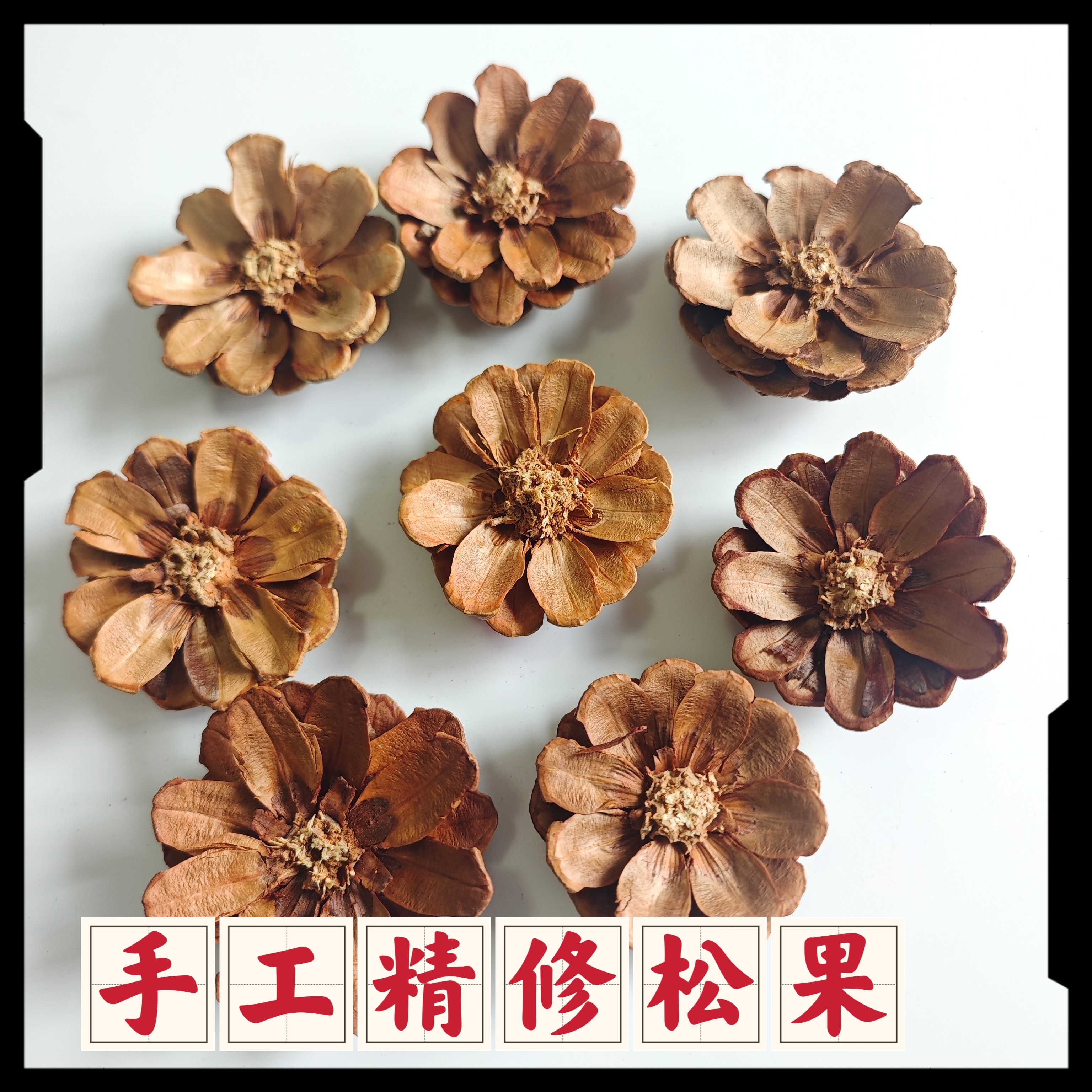 已剪好松果花干松球花瓣节日Zakka装饰品幼儿园手工环创材料DIY
