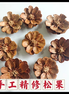 已剪好松果花干松球花瓣节日Zakka装饰品幼儿园手工环创材料DIY