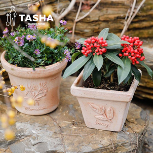 塔莎的花园 帝罗马手工陶盆橄榄枝盆香草大口径透气花盆庭院阳台