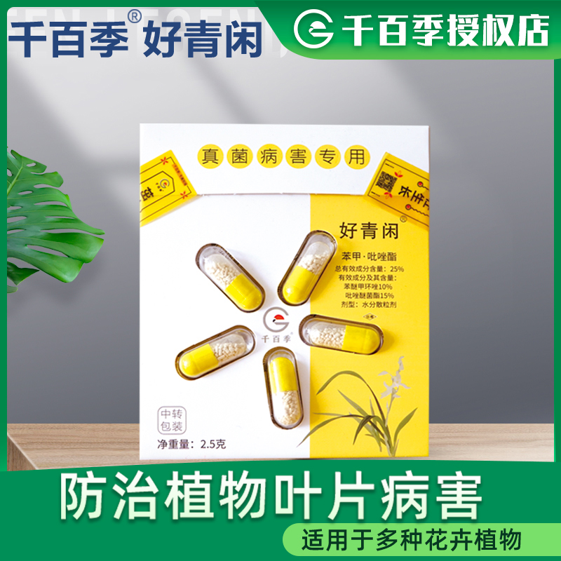 千百季好青闲推荐套餐