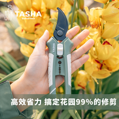 塔莎的花园剪刀修枝剪果树剪花专用家用阳台打顶修形型易宝龙烤漆