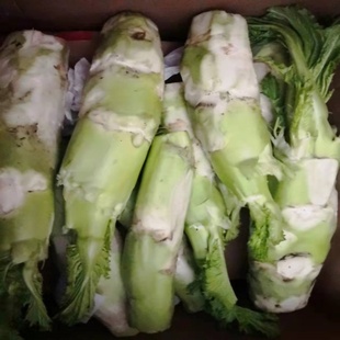 新鲜棒棒菜农产品江西高安产当季应季蔬菜棒棒菜 菜头 不带叶包邮