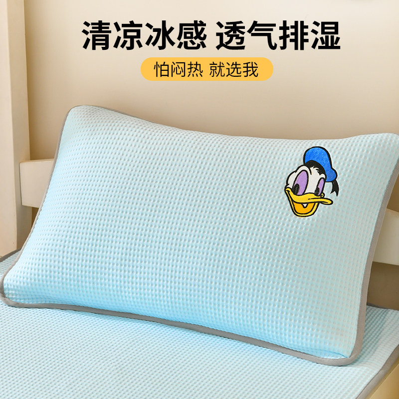 A类夏天凉感冰丝枕套一对装可水洗48x74cm夏季整套枕芯枕头保护套