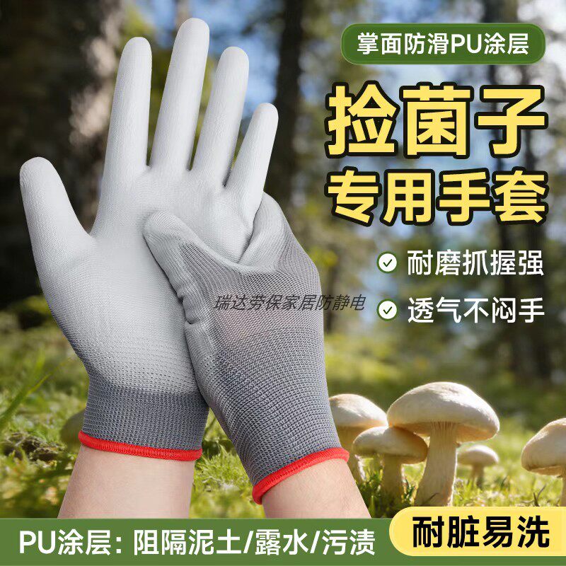 捡菌子采蘑菇手套耐磨抓握强透气不闷手采摘专用神器园艺农用男女
