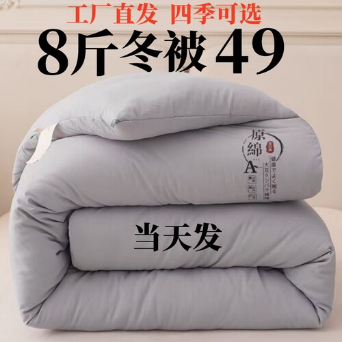被子棉被加厚保暖被芯8斤冬被四季通用春秋被单双人学生宿舍被褥