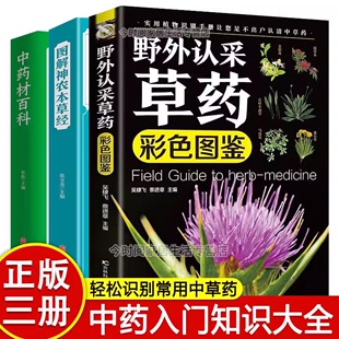 野外认知草药彩色图鉴彩色图解神农百草经源于原文译文注释中草药大全百科药用植物识别中国医学中草药详解中药药性家庭养生书籍