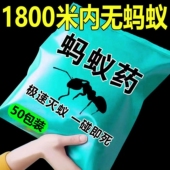 蚂蚁药强效全窝端家用非无毒厨房室内野外菜地灭蚁清一窝端灭蚁药