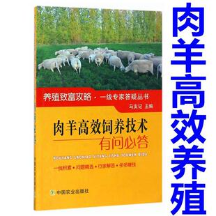 正版 肉羊高效饲养技术有问必答 养羊技术大全书籍 羊病防治实用手册 新手养羊必备养羊入门知识 羊场经营模式肉羊产业发展的趋势