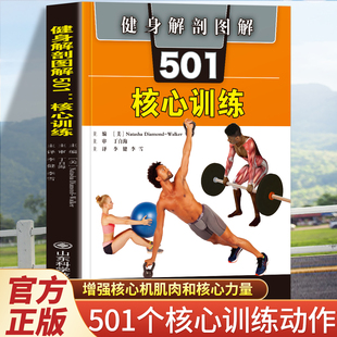 增强核心肌肉和核心力量 501个动作 整个身体 正版 肌肉解剖图 核心训练 运动能力以及可锻炼 健身书籍 健身解刨图解501