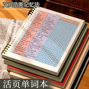 B5活页英语单词本记忆本艾宾浩斯记忆法初中生专用大学生英语四六级考研默写纸背单词本子英语学习单词记忆本