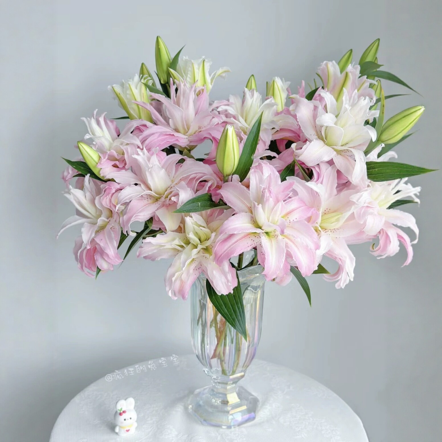 （戴安娜王妃）重瓣百合浅粉色稀有品种家养鲜花送人礼物云南直发
