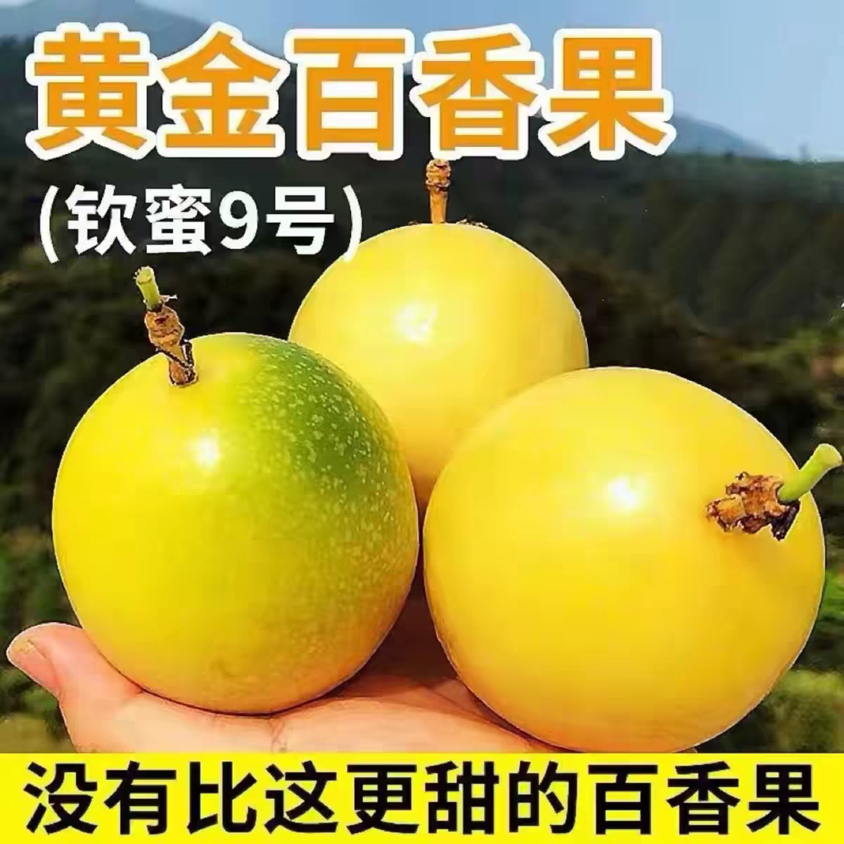 【正宗】钦蜜9号黄金百香果5斤新鲜现摘现发云南广西福建当季水果