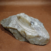 328克和田玉天然玉石开窗料新疆且末糖玉山料原石练手料雕刻作料