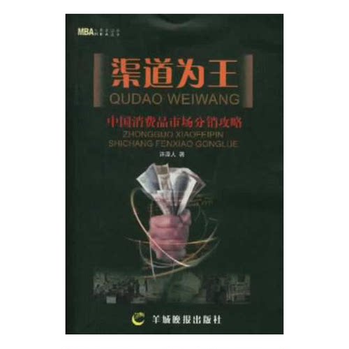 正版9成新图书丨 渠道为王  许泽人 羊城晚报出版社  许泽人著 9787806512395