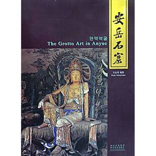 带涵盒 正版 图书 安岳石窟 9787541036927 王达军著