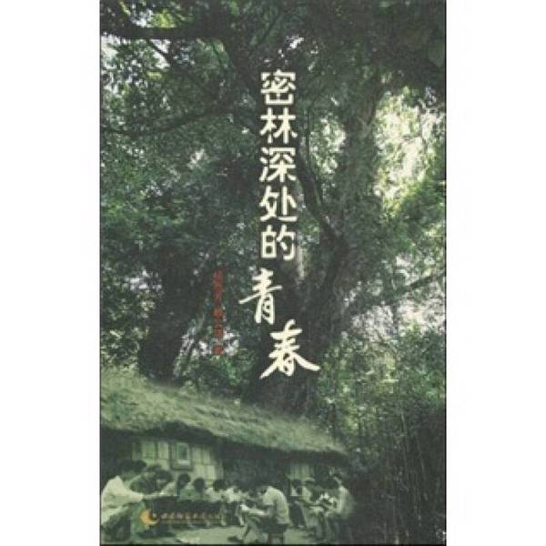 正版图书丨 密林深处的青春：知青西双版纳胶林春秋  杨恩芳，赖云琪著 9787562148029图片