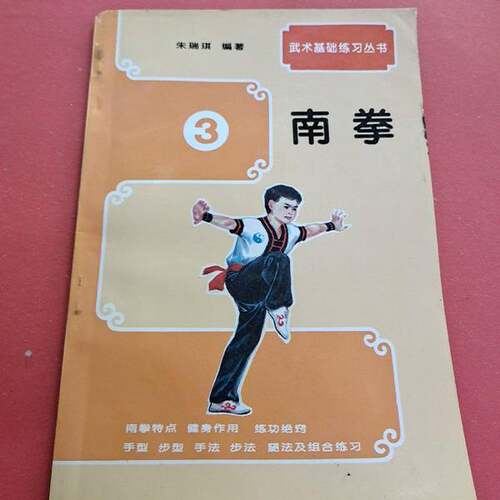 正版图书丨 武术基础练习.南拳  朱瑞琪编著 9787500910824