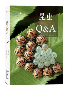 正版图书丨 昆虫Q&A  朱耀沂著；卢耽摄影·绘图 9787100113489